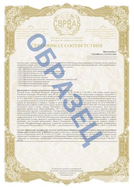 Образец Приложение к СТО 01.064.00220722.2-2020 Можга Сертификат СТО 01.064.00220722.2-2020 